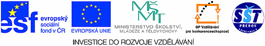 ivt-logo-msmt-esf-sst